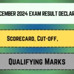 CTET December 2024 Exam Result Declared 2025_20250409_114331_0000