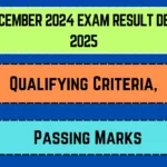CTET December 2024 Exam Result Declared 2025_20250410_190508_0000
